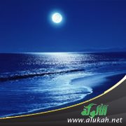 أعني بالسكوت (شعر)