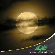 مساء يذوب ( مقطوعة شعرية )