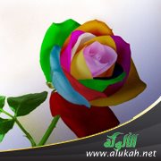 الحياة الحقيقية