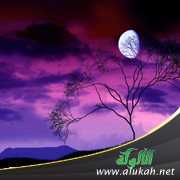 موطني غدا خيمة بها الريح تلعب