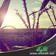 مكبول (قصيدة)
