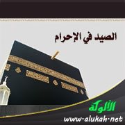 الصيد في الإحرام