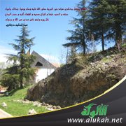 ذكرى المولد (بطاقة دعوية)