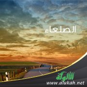 الصلعاء (قصة)