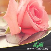 صرخة أنثى