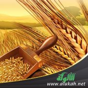 وسطية غذائنا في عصر العلم والوفرة .. والكوارث!