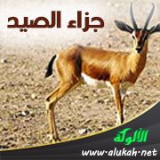جزاء الصيد