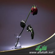 ظهور المساوئ بعد الزواج