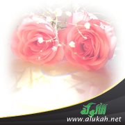 زوجتي تريد الرجوع دون اعتذار