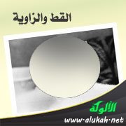 القط والزاوية
