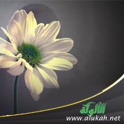 وعجلت إليك رب لترضى (قصة واقعية<br />)