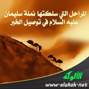 المراحل التي سلكتها نملة سليمان عليه السلام في توصيل الخبر