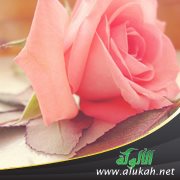 نعم ما زلت أذكرها (قصيدة)
