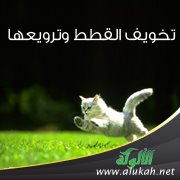 تخويف القطط وترويعها