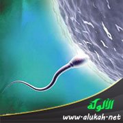 التحكم في جنس الجنين البشري