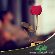 زوجتي ترفض العودة إلى المنزل