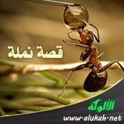 قصة نملة