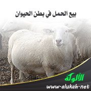 بيع الحمل في بطن الحيوان