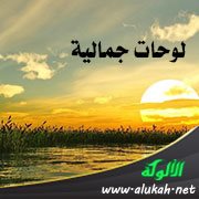 لوحات جمالية: مشاركة أكثر من وجدانية