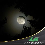 عيون الليل وسباق الحروب
