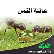 عائلة النمل