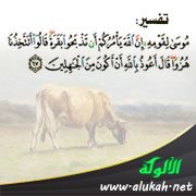 تفسير: (وإذ قال موسى لقومه إن الله يأمركم أن تذبحوا بقرة)