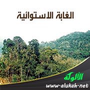الغابة الاستوائية