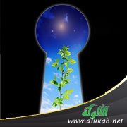 سعد بن أبي وقاص رضي الله عنه