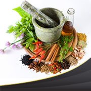 الأعشاب: تركيبها وفصائلها