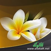 الحياء ما هو؟ وماذا بعد نزعه؟