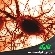 السرطان وأنماط المعيشة.. هل حدوثه مجرد صدفة؟