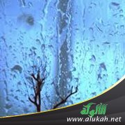 وقفات قبل رحيل رمضان