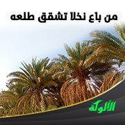 من باع نخلا تشقق طلعه