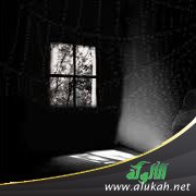 عالم الصور والبلادة