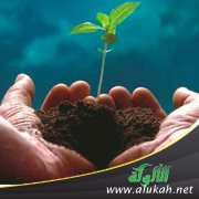 رحمة الله للرحماء