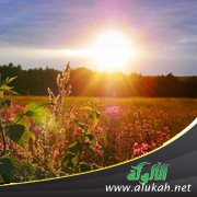 الاستحسان