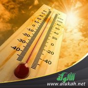 حرارة الصيف.. ألم وتأمل (1)