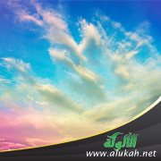غصة حفصة