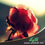 تحب شخصا آخر ولا تستطيع العيش مع زوجها