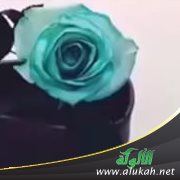 خطيبي كان غارقا في المعاصي