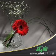 لا أحب زوجتي.. وأجهل السبب!