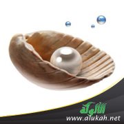 درر الشيخ علي الطنطاوي رحمه الله (10)