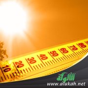 حرارة الصيف.. ألم وتأمل (2)