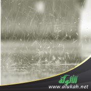 الجمع بين صلاتين في المطر والثلج والبرَد
