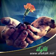 حاجة الأمة إلى الإصلاح