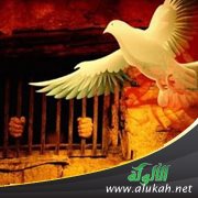 ونصرتهم شر انتصار (قصيدة)