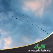 أنواع الصفات الإلهية