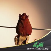 زوجتي على علاقة بزوج أختها