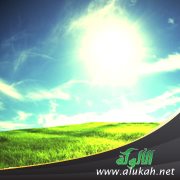 السنن النبوية في وقت الظهر