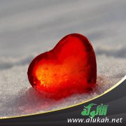 أين قلبي؟! (قصيدة)